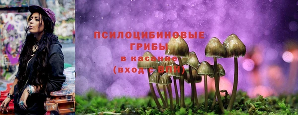 метадон Покачи