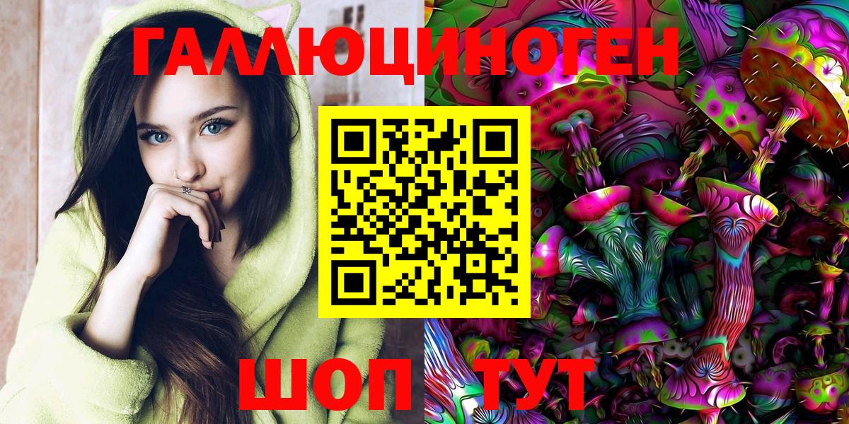 Галлюциногенные грибы Psilocybine cubensis  Новокузнецк  Псилоцибиновые грибы GOLDEN TEACHER 