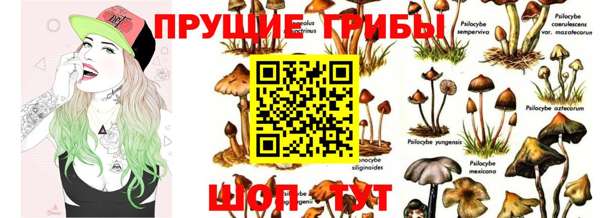 Галлюциногенные грибы Psilocybine cubensis  Вход с VPN  Новокузнецк 